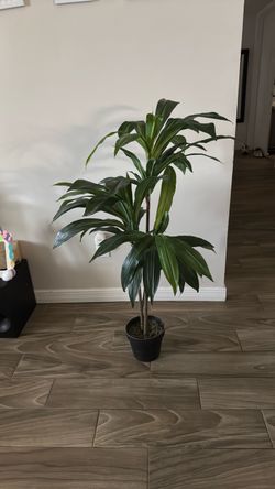 Fake house plant/tree
