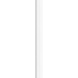 Brand new Apple Pencil 2 (2ND Generation)