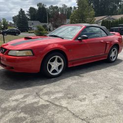 2000 Ford Mustang