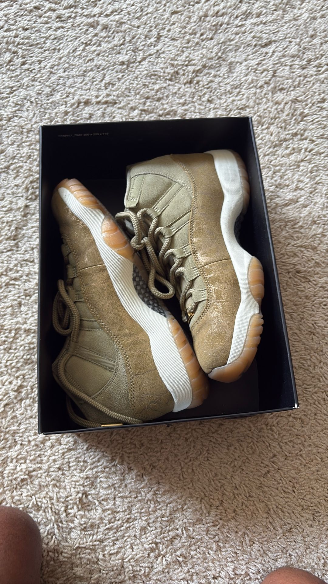 Jordan 11 Retro
