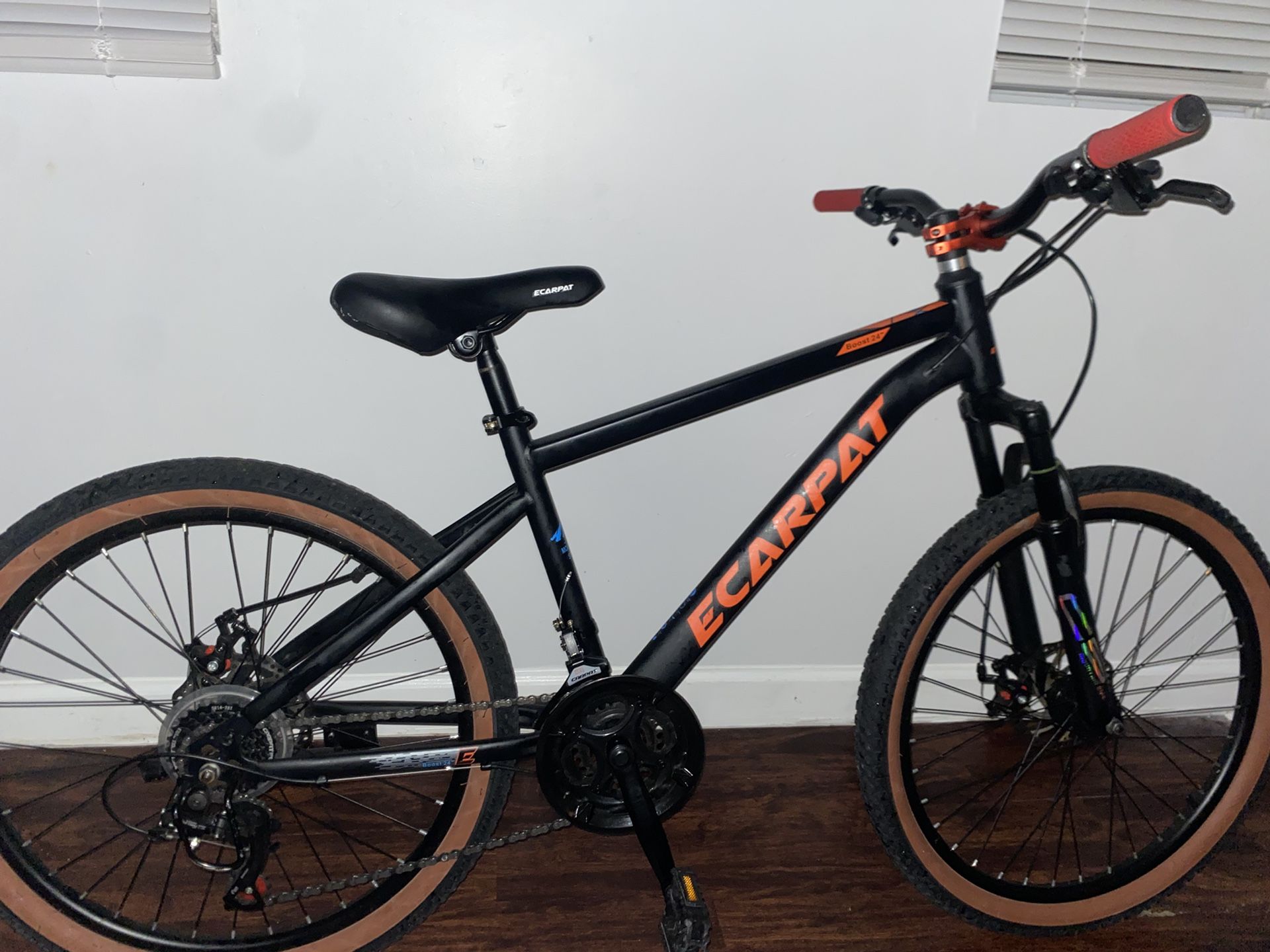 Bike ecarpat boost