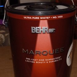 1 Gal Paint Pale Green