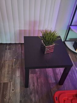 Black Side Table with Small Fale Plant