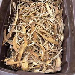 Dried Leaves For Basket Weaving