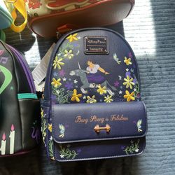 DISNEY ACCESSORY