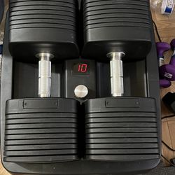 Nordictrack Dumbbells 