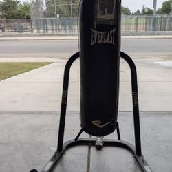 70 Lbs Everlast Punching Bag With Extras