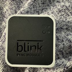 Blink Sync Module 2