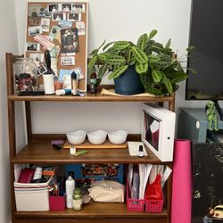 West Elm Mid Century Low Shelf Acorn 