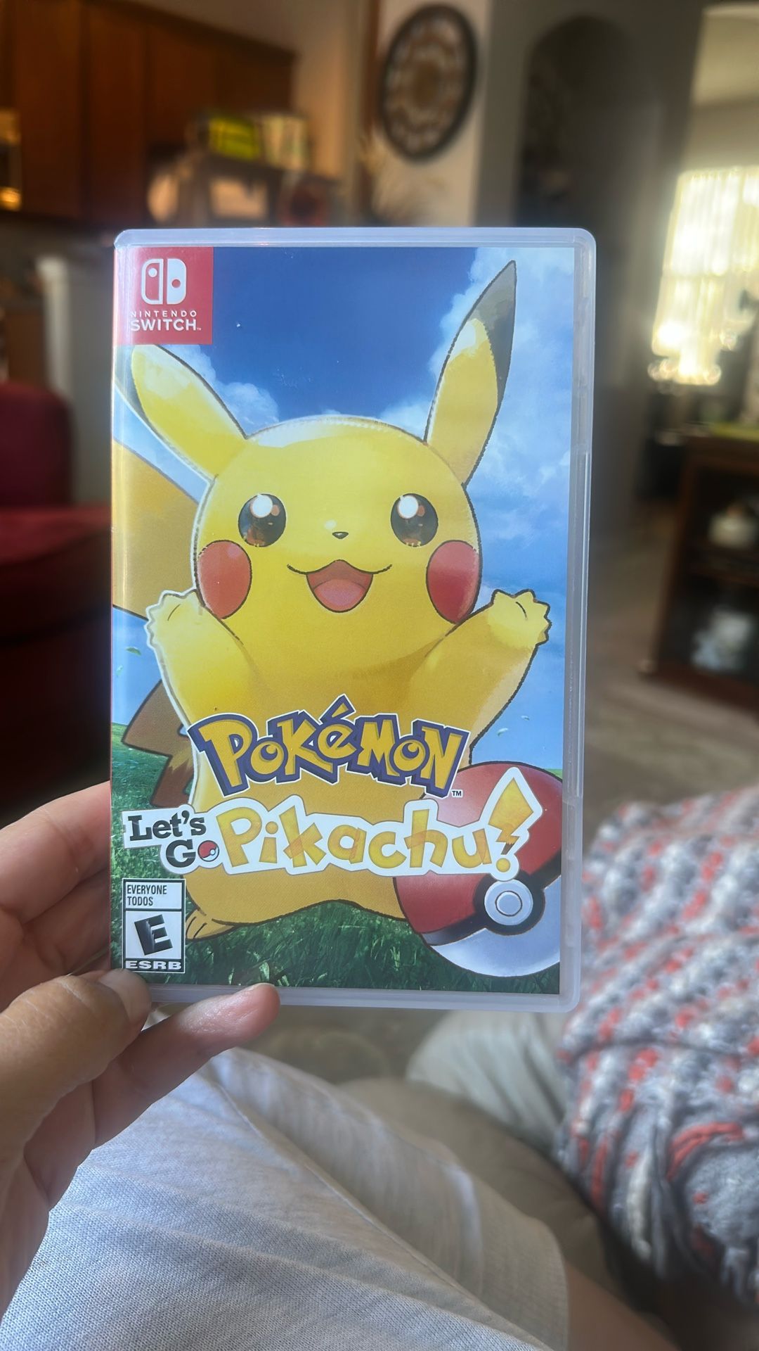 Nintendo Switch Game