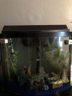 50 Gallon Fish tank