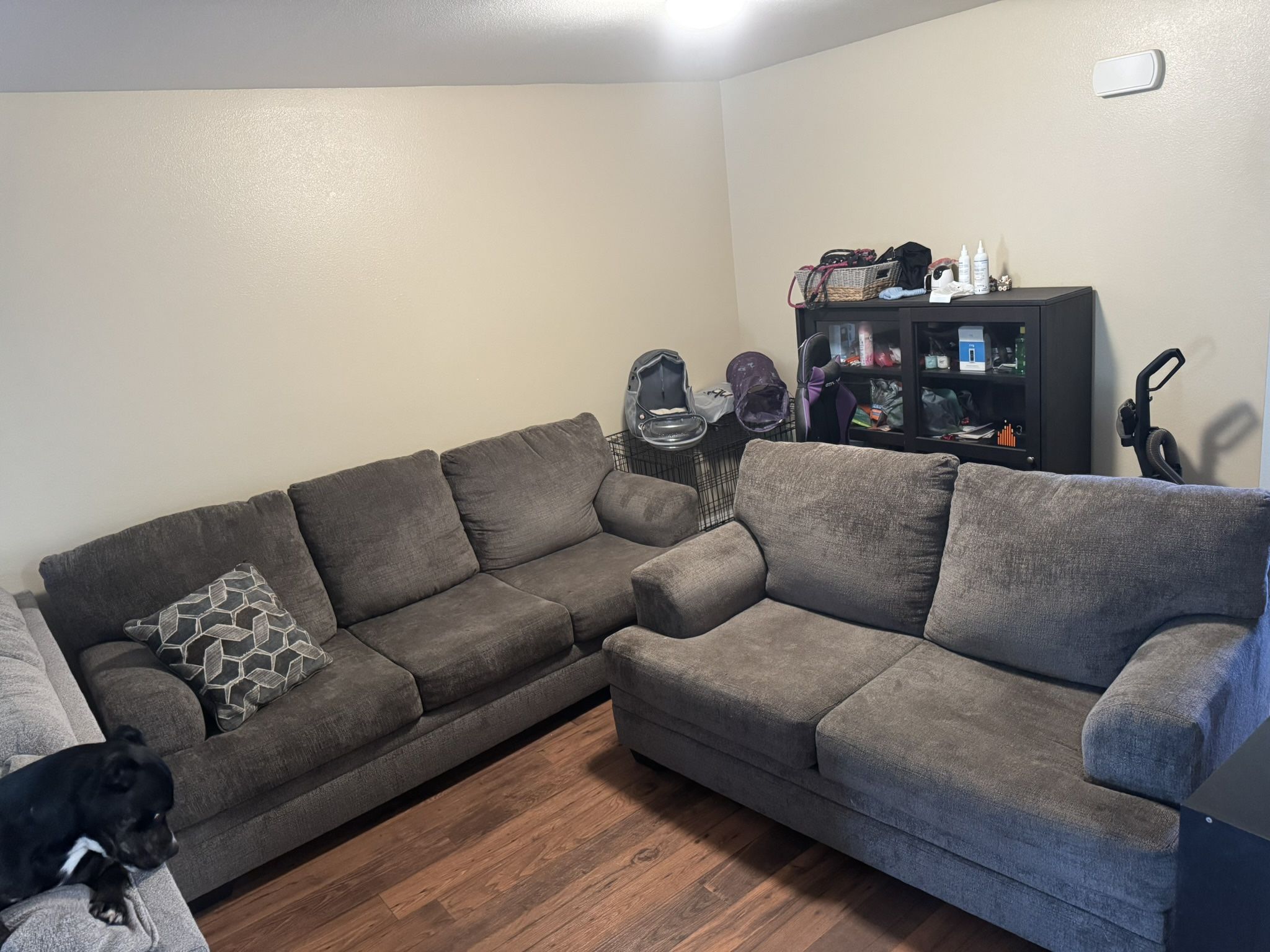 Grey Couch And Love Seat