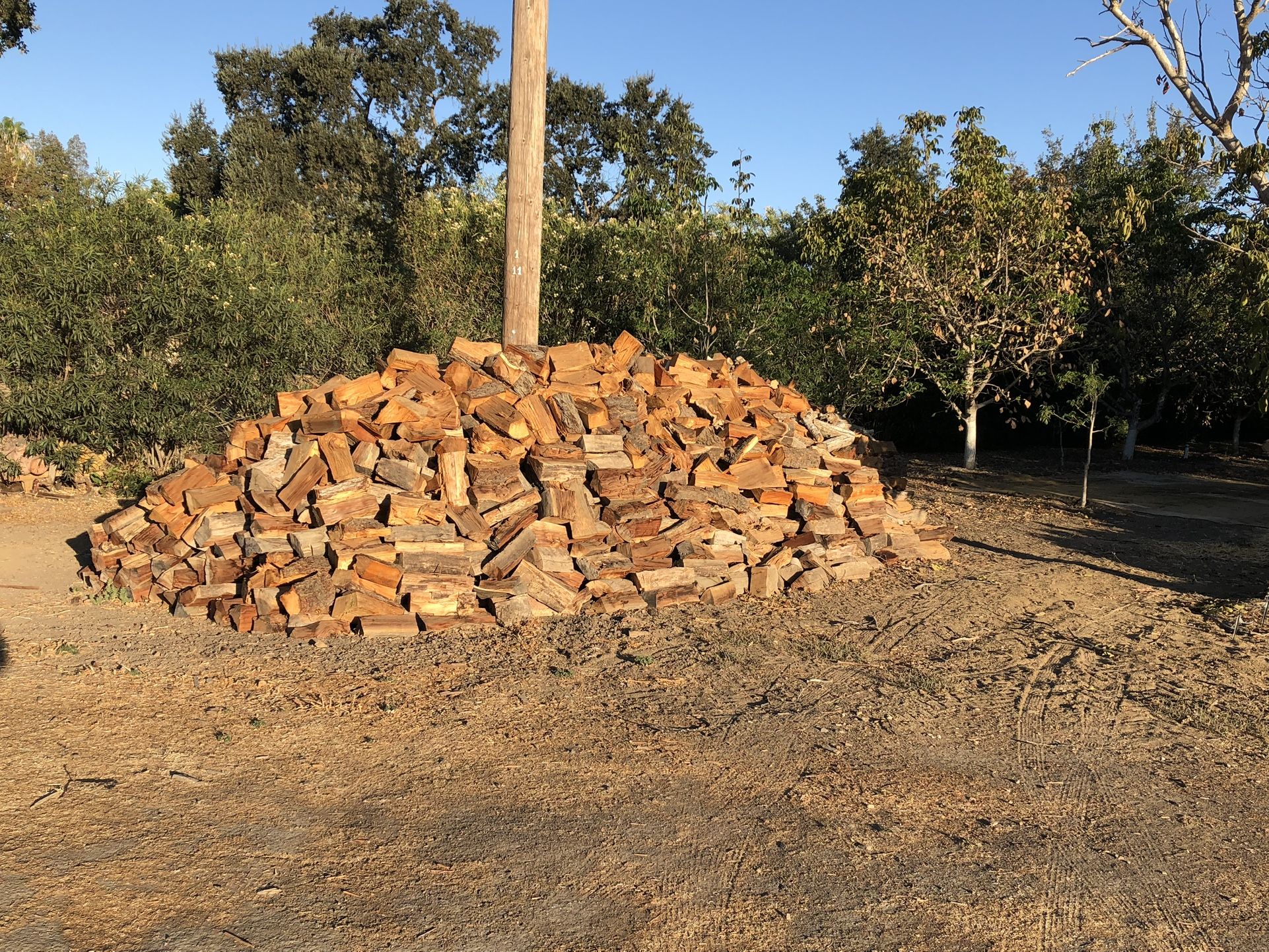 Seasoned Firewood 🪵 🔥