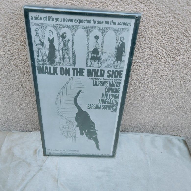 Walk On The Wild side..Cat art Movie Poster