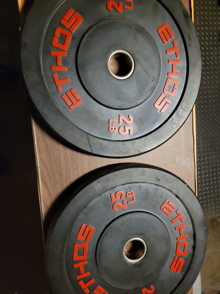 Ethos 2x 25lb Weight Plates