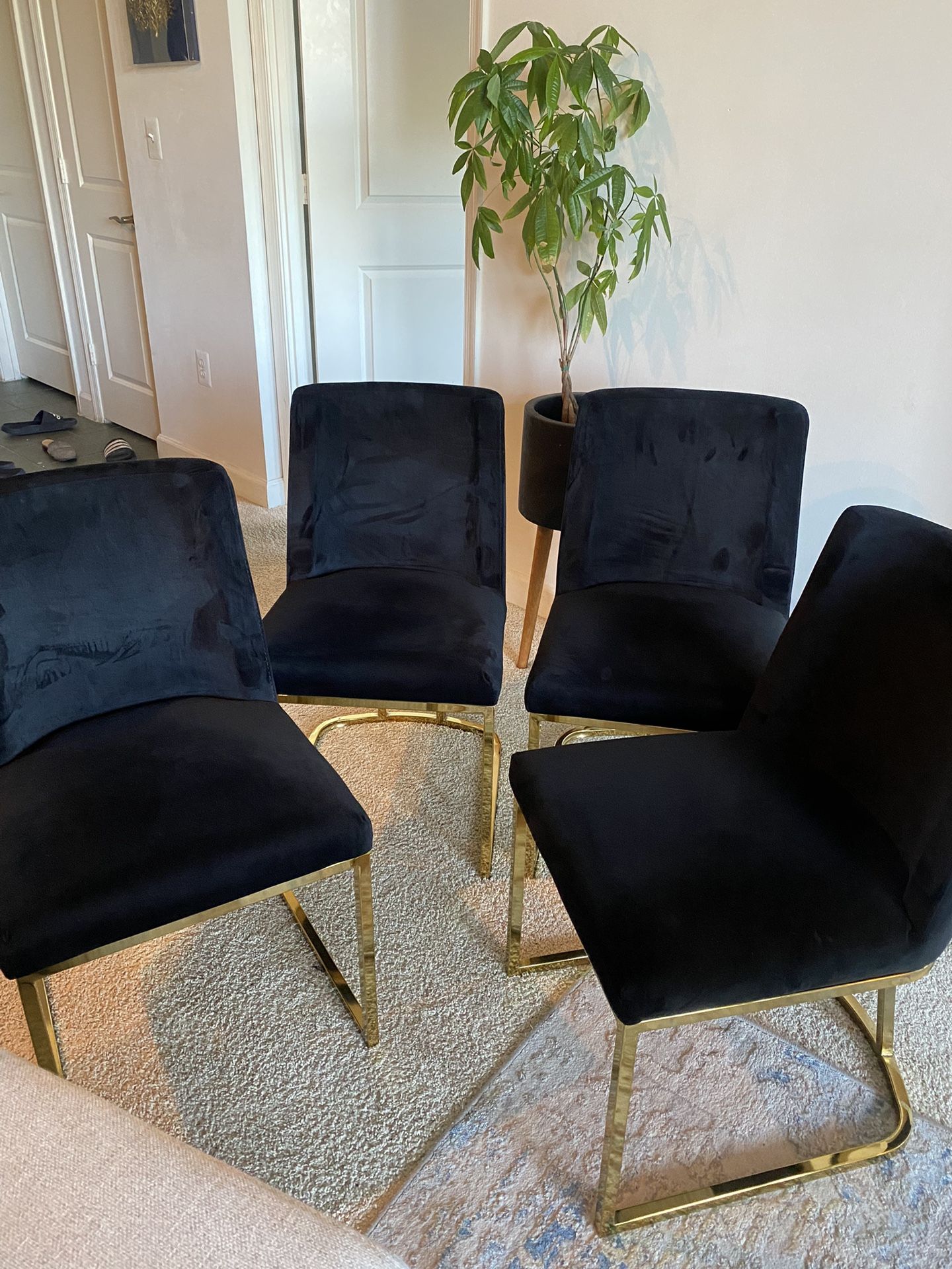 Modern 4 Dining Chairs And Free Table 