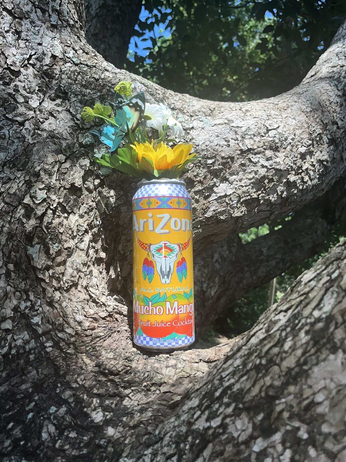 Arizona `Mucho Mango’ Can Decor