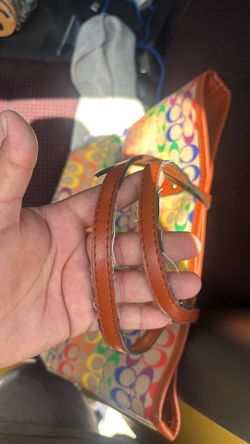 Coach Rainbow purse