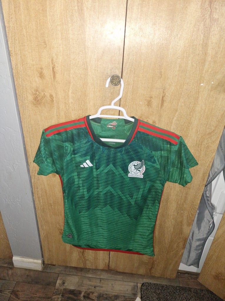 Mexico 2022 Jersey Player Version Size Men Small