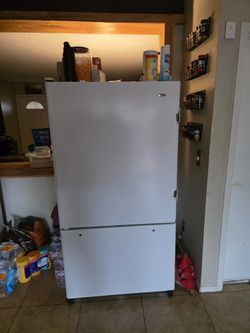 Fridge/freezer