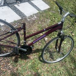 Schwinn Bike