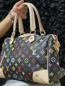 Louis VUITTON Bags