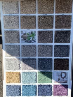 Carpet And Laminate