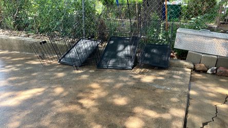 Black Wire Dog Crates with Trays – Set of 2