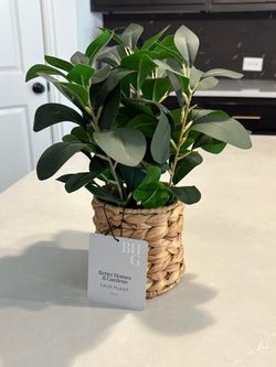 Better Homes & Gardens Faux Plant in Woven Basket