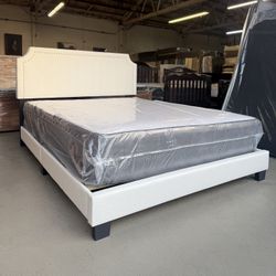 Queen Bed And Mattress 