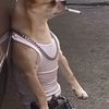 Jj