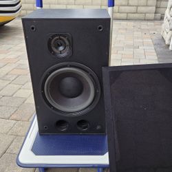 Bose Interaudio 4000 Speakers