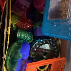 Hamster Cage
