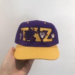 Vintage Taz Hat / Snapback 