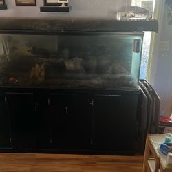 125 Gallon Fish Tank With Wooden Stand