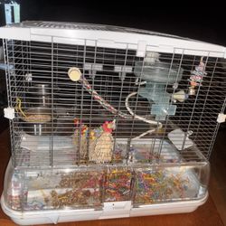 Bird Cages 
