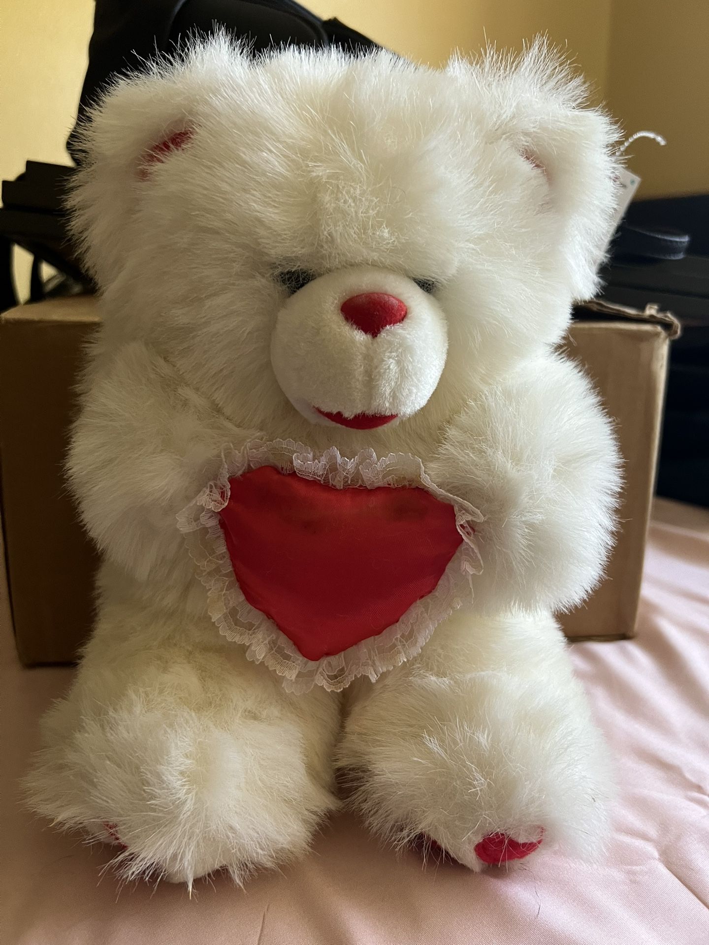Teddy Bear