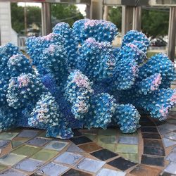 Coral Decoration