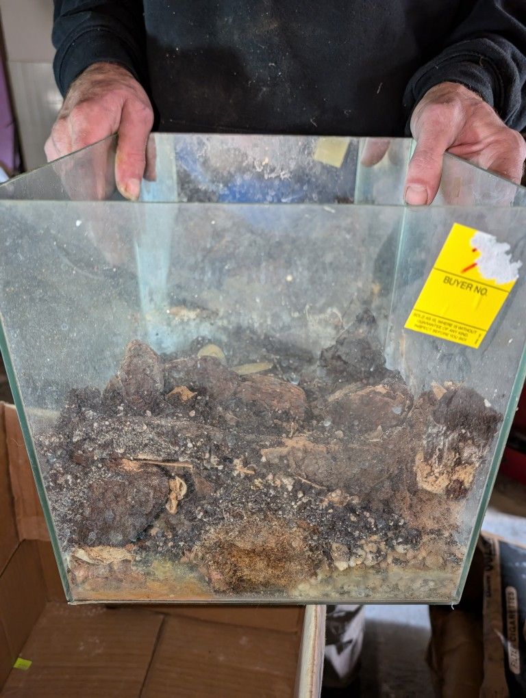 Glass Terrarium, Reptile Zoo Or Aquarium With Wood Bark Etc. Just Clean Windows And Mirror 12x12x12 Compare at $69