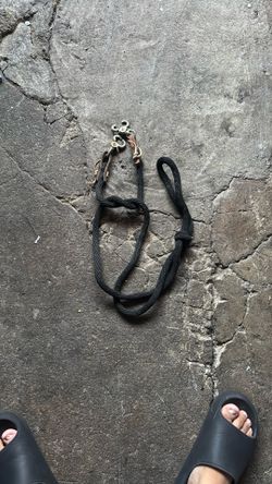 Caballo