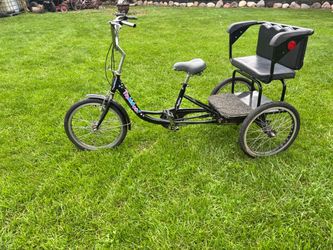 Tricycle bike