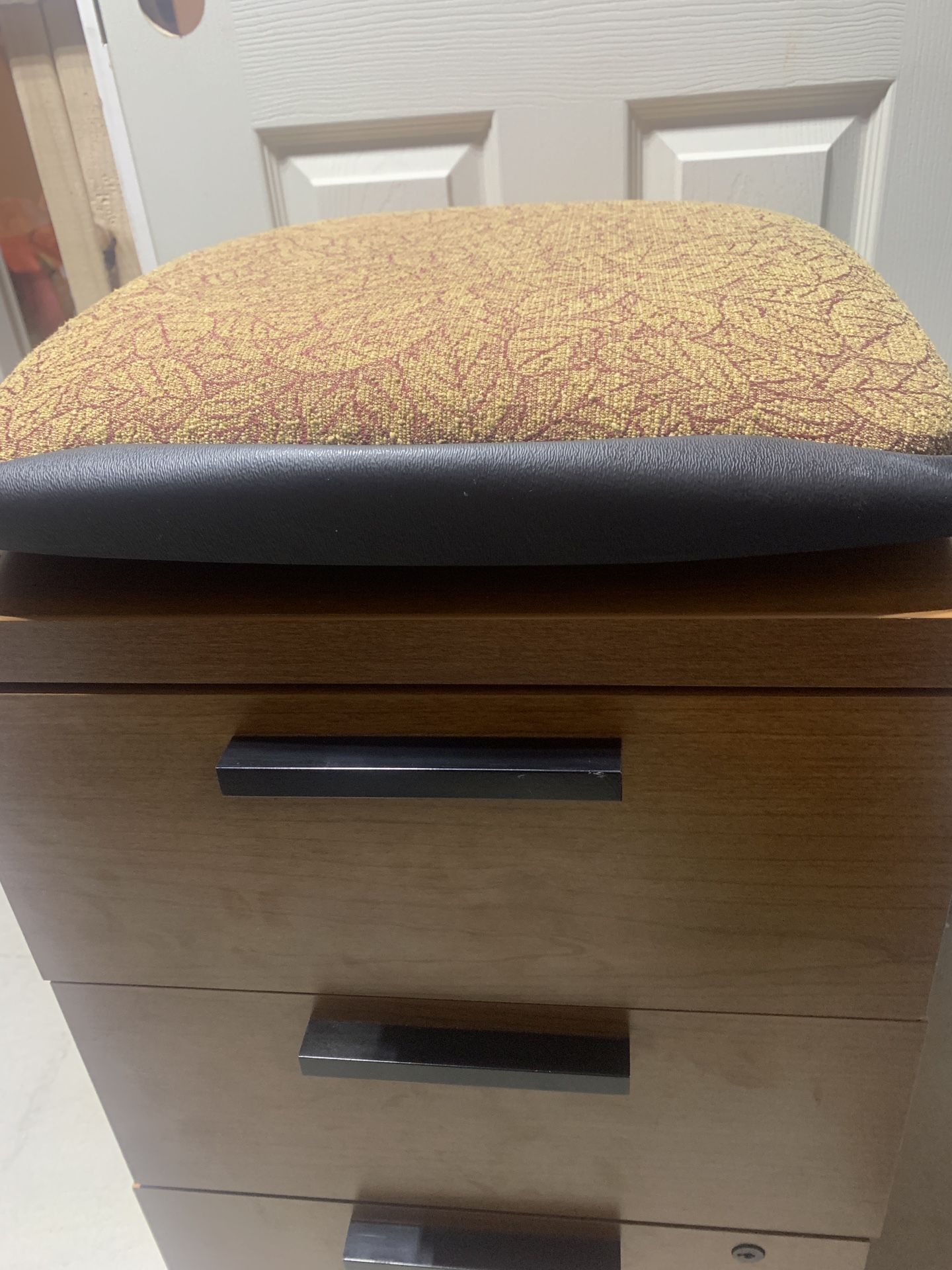 Upholstered Non-Slip 2.5” Padded File Cabinet Seat Cushion, Leaf Pattern