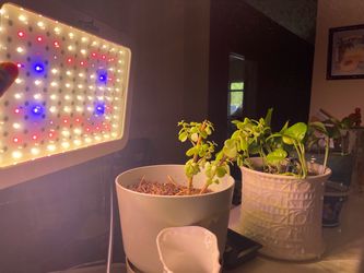 ATSHARK LED Grow Light Panel