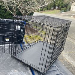 Large Medium Dog Kennel Crate Collapsible in Good Condition 36” L by W 22” H “24