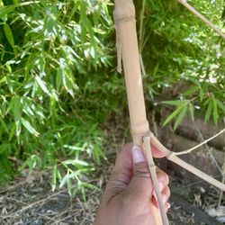 Bamboo Poles & Roots