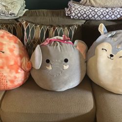 Medium Size Squishmallows