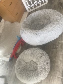 Dog Beds Sm & Lg $20 Both