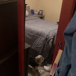 Armario  Para  Guardar Las Jewels 