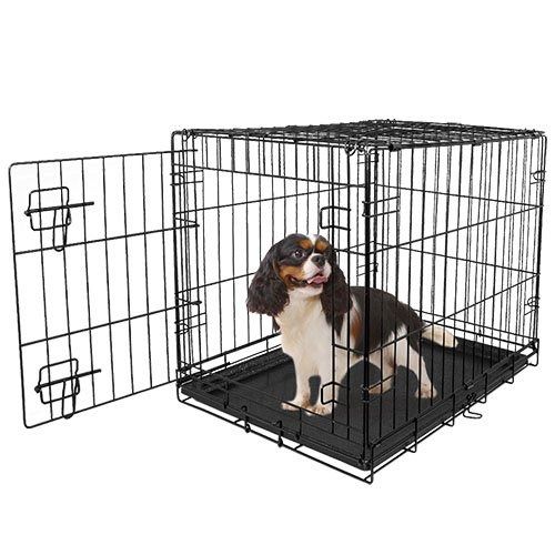 Vibrant Life Single-Door Folding Dog Crate with Divider, Small, 30"L