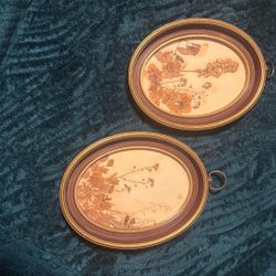 Vintage Framed Pressed Flowers